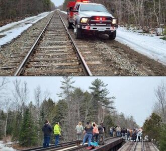 این اسب سرگردان جلوی حرکت قطارها را گرفت/ عکس