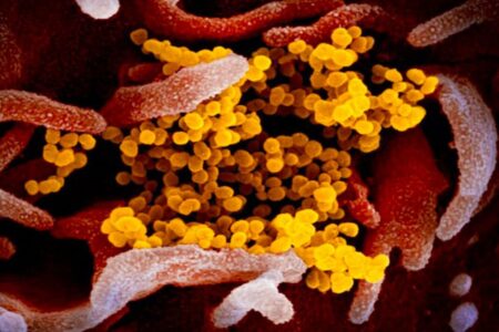 راهکار نوین کره‌ای‌ها برای مقابله با التهاب ریه کرونا