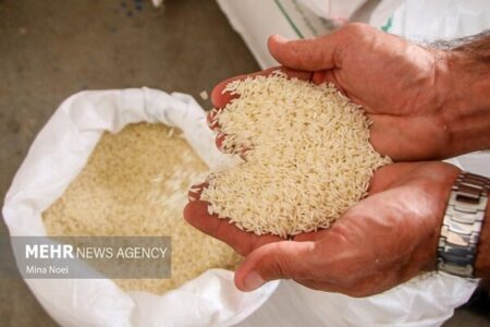 عدم ترخیص برنج از گمرکات؛ علت افزایش قیمت در سیستان بلوچستان