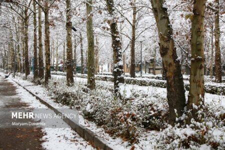 فعالیت آخرین موج بارشی در کشور؛ بارش‌های پراکنده و موقتی در ۵ استان