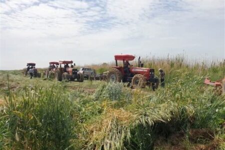 سازمان امور اراضی خدمات‌دهی خود را با هوش مصنوعی بهبود می‌دهد