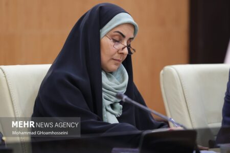 سرپرست جدید صندوق ملی مسکن منصوب شد