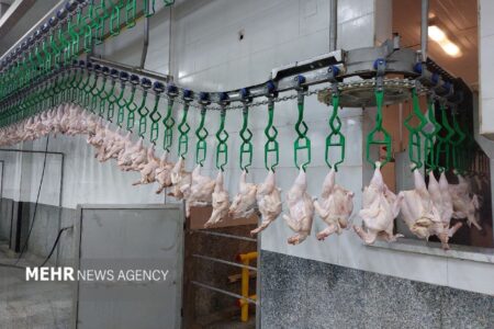 مرغ و تخم‌مرغ ماه رمضان و شب عید را از هر جا می‌خواهید تأمین کنید