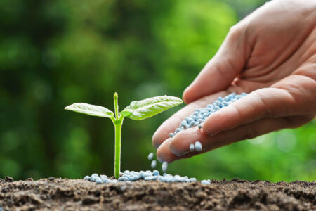 پایش خاک‌های شور کشور کلید خورد